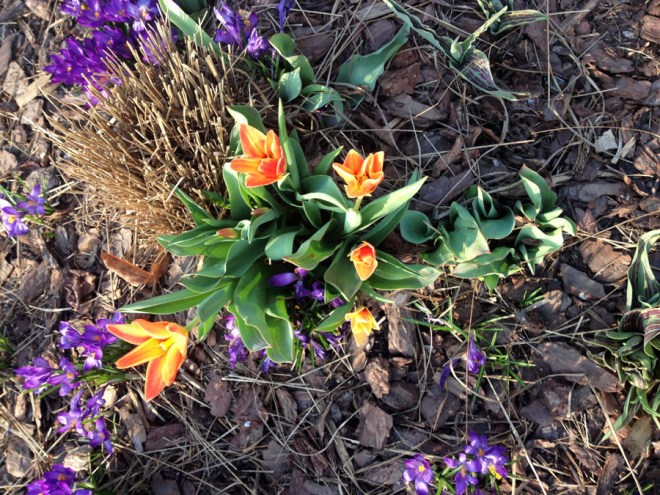 IMG_5431 (1) копия