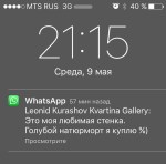 IMG_6098 (1) копия