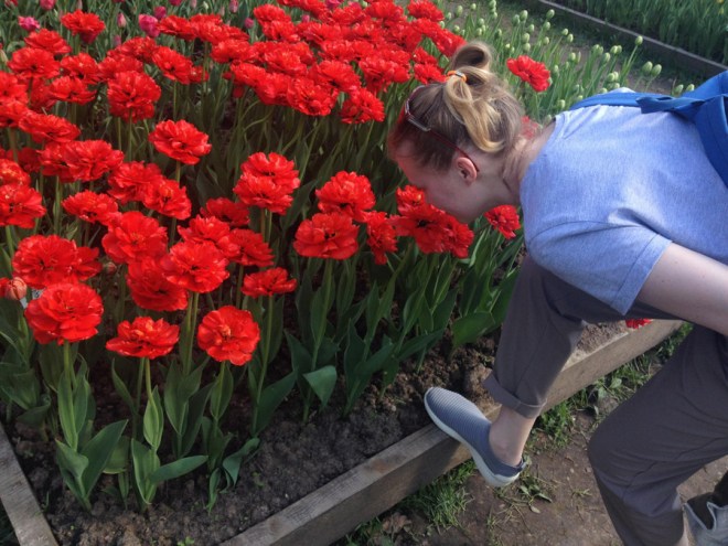 unnamed (1) копия