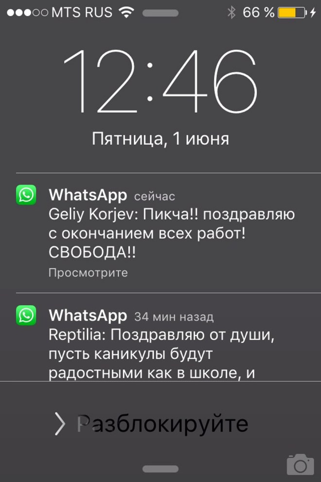 IMG_6672 (1) копия