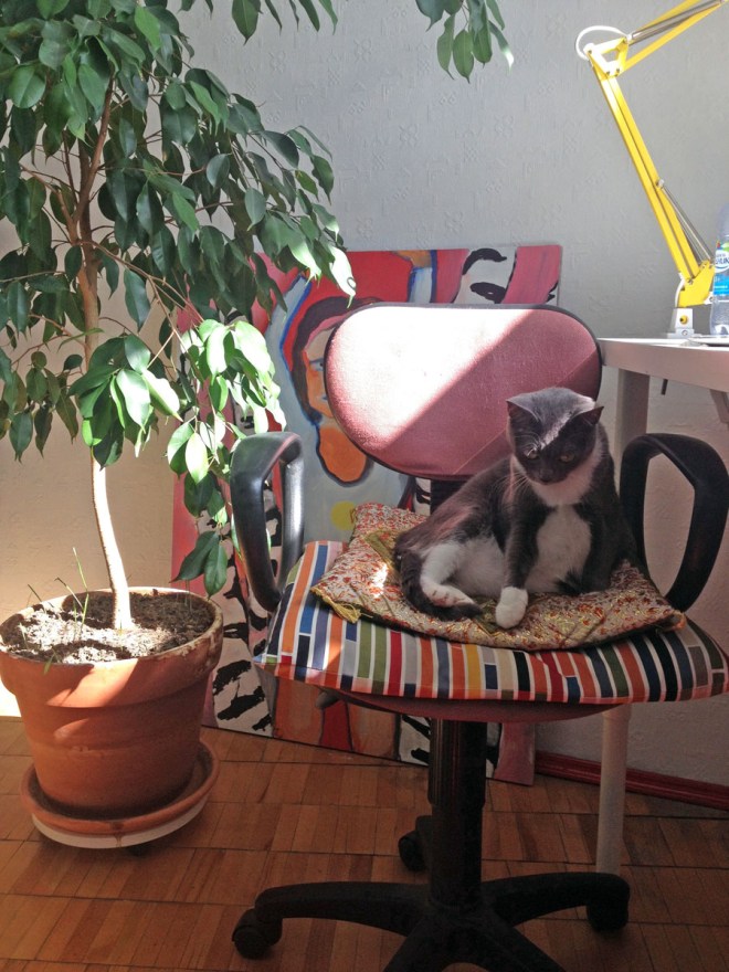 IMG_6736 (1) копия