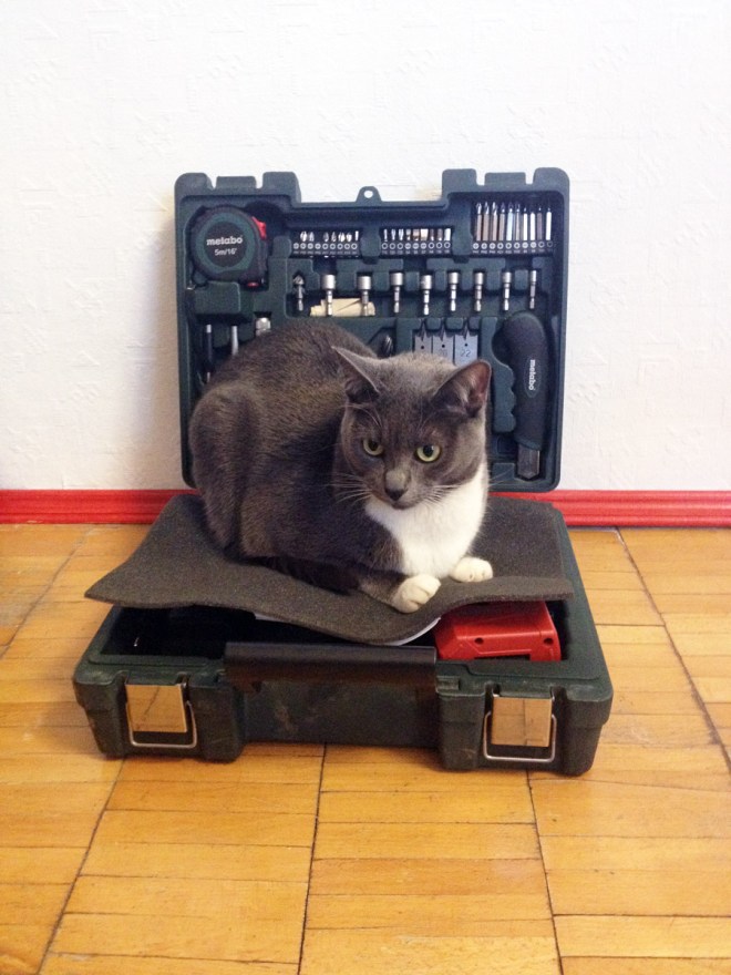 IMG_6749 (1) копия