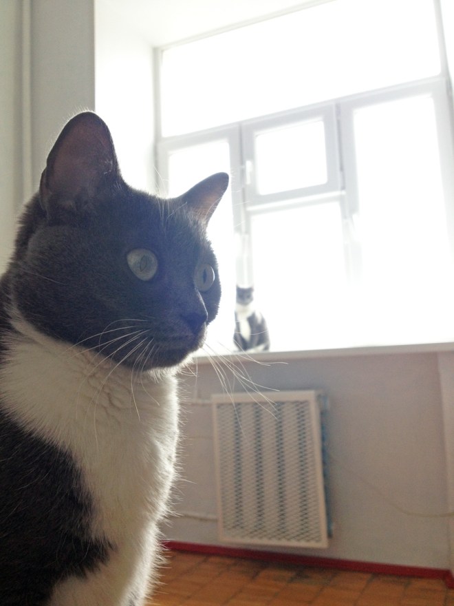 IMG_7032 (1) копия