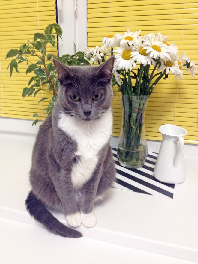 IMG_7172 (4)_2 копия