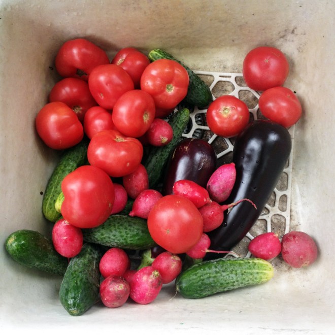 IMG_7197 (1) копия