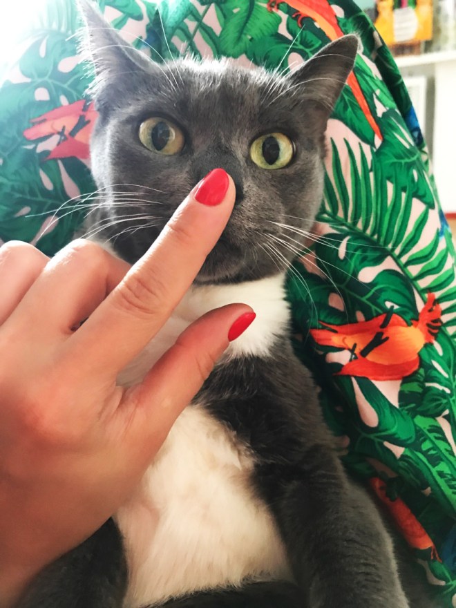 IMG_0132 (1) копия