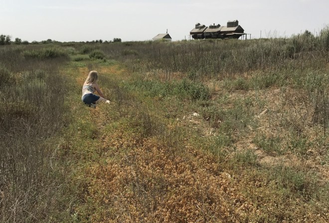 IMG_0964 копия2