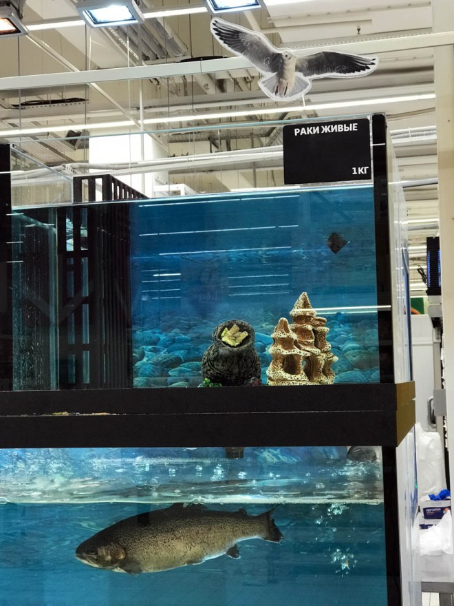 IMG_9904 (1) копия