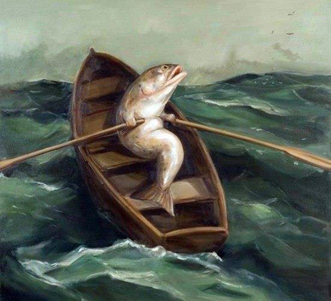 12986973_575984005912120_3172777707421337031_n копия