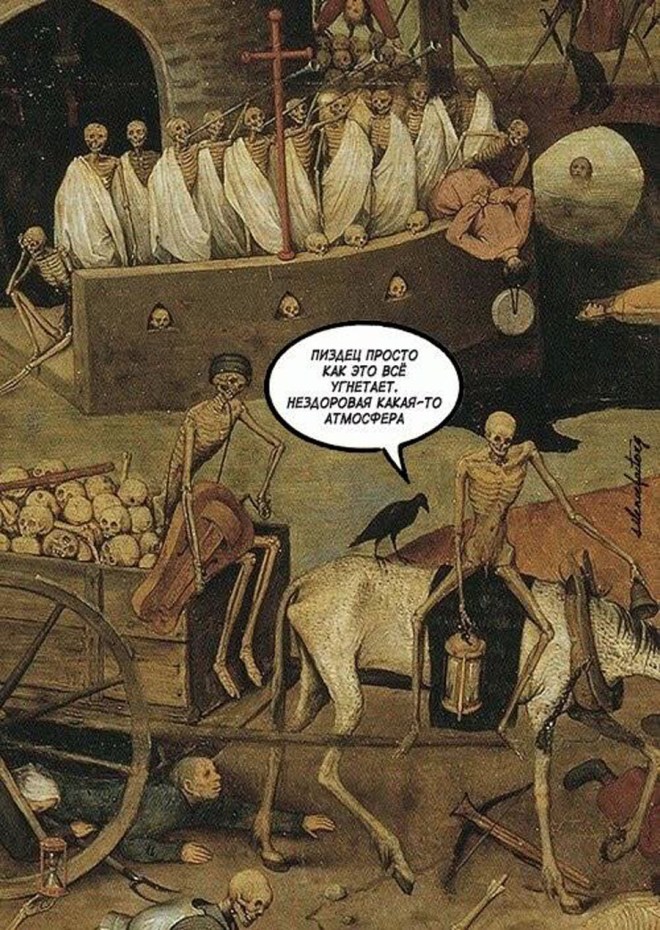 20046506_1564078393610797_7781090157775017851_n