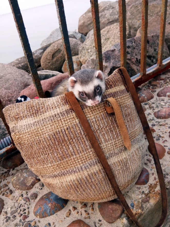 6001fa10-cdd4-4367-b485-2f3158fcb946 копия