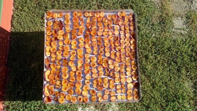 8bc2b147-1e24-4a10-a553-16f9f455ba31 копия