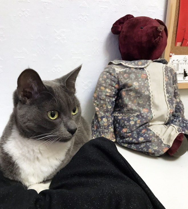 unnamed_2 копия