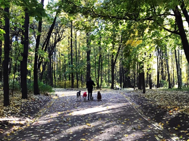 IMG_5551 копия2