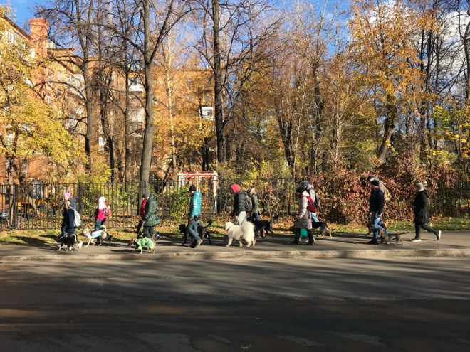 IMG_6820_2 копия