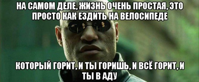 morfeus_77095585_orig_ копия