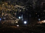 IMG_7804 копия