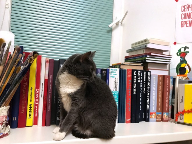 img_2386d0bad0bed0bfd0b8d18f