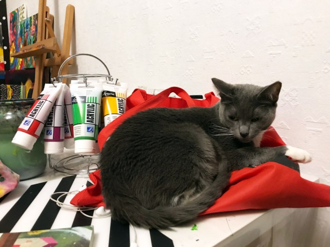 img_2621d0bad0bed0bfd0b8d18f