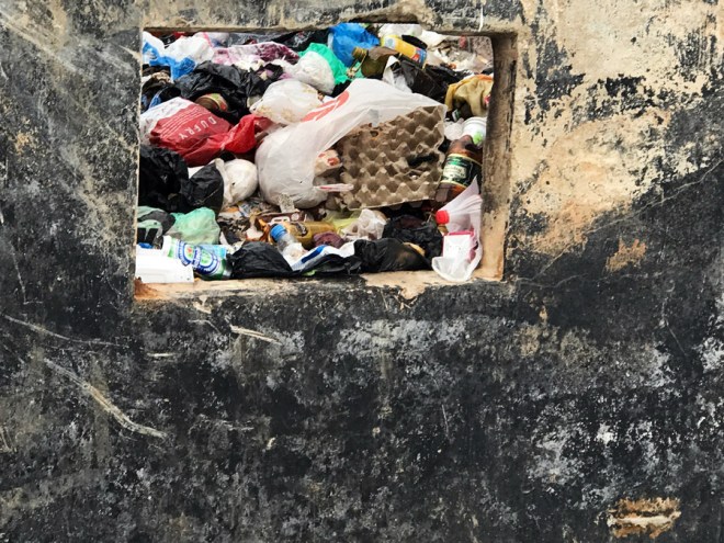 IMG_8119_2 копия