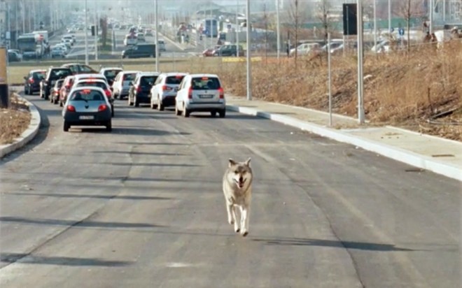 IMG_0115-10-05-19-10-11 копия