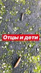 06593864-FC7C-4955-A632-B52BD57F4748 копия