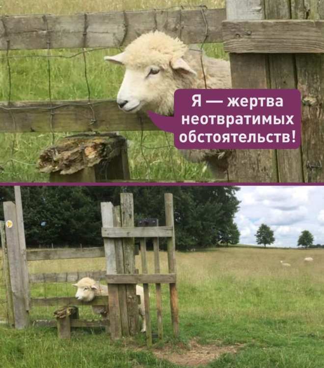 51899423_2110481065702763_5934361982240030720_n