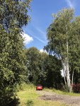 IMG_2286