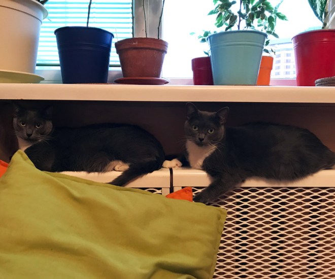 26F0E637-0717-4446-965C-93CD65038B9E