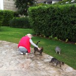 IMG_1607_2 копия