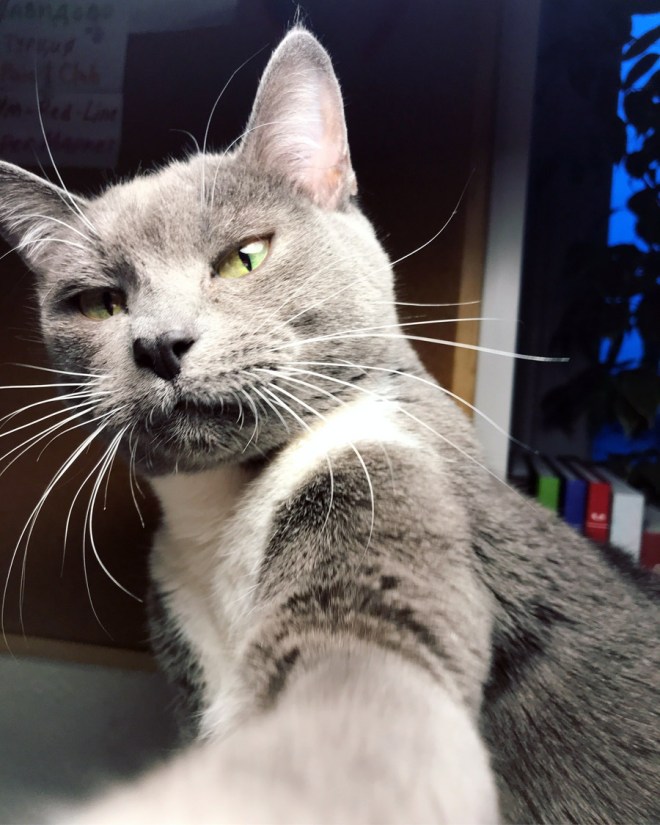 42A6EF5E-CBB5-46A5-93A5-17E177A70F2A копия