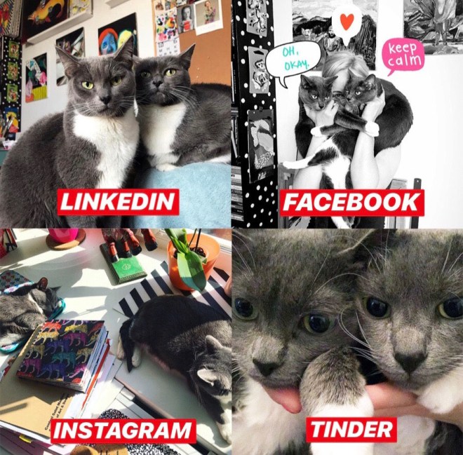 DD341C98-13DF-473E-B530-D9E6CA7EA086 копия