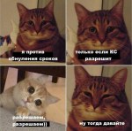 11c25896-2478-45ba-87e0-77da22570ab4 копия