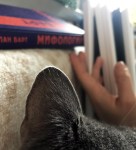 IMG_8248 копия2