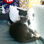 7690FD0F-0BDE-4BD9-8C32-663A86F6D6C0 копия