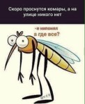 IMG_1240 копия