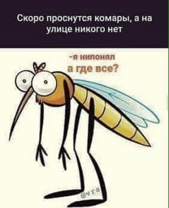 IMG_1240 копия