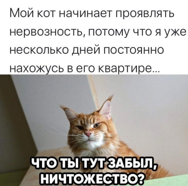 IMG_1276 копия
