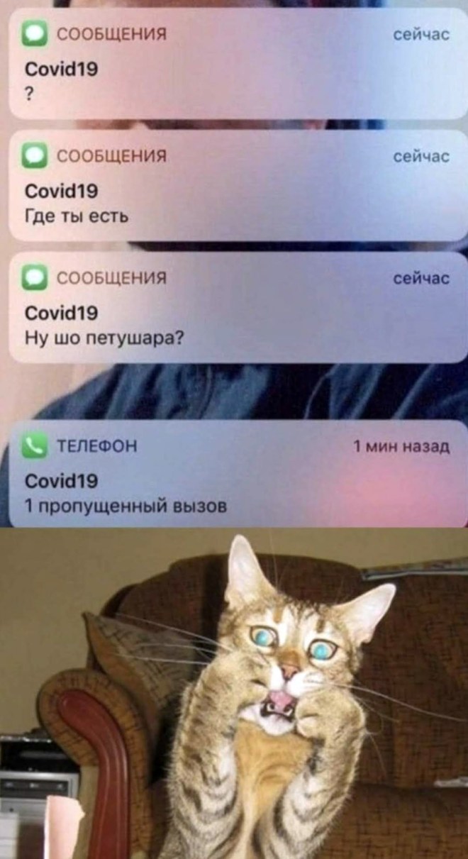IMG_1278 копия