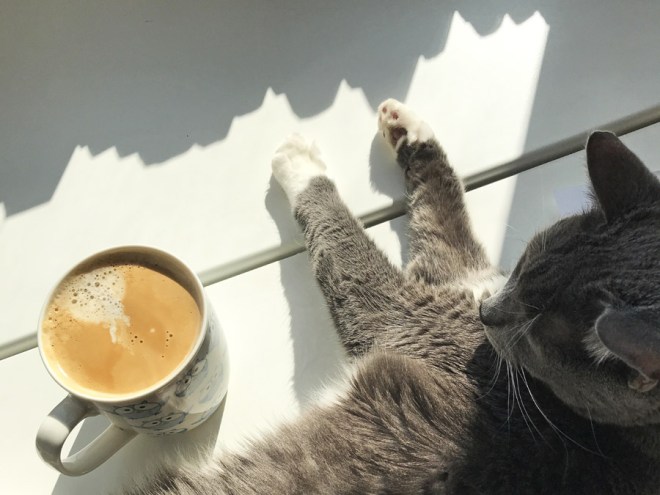 IMG_2609_2 копия