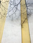 IMG_2922