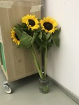 IMG_7312 копия